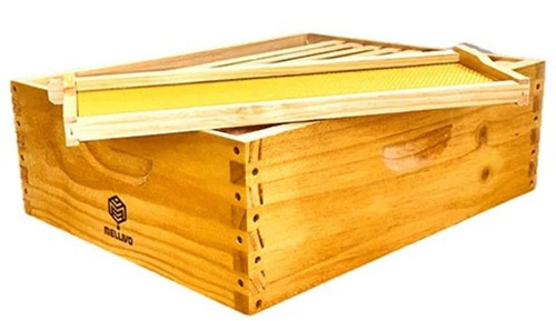 Mellivo Medium Strong Box Coated Honey Super with Natural Foundation Frames