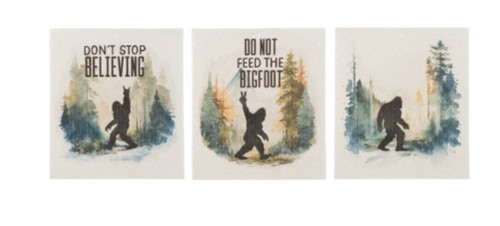 Ganz Bigfoot Reusable Dish Cloth 6 Pack