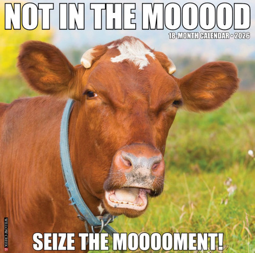 Willow Creek Press Not in the Moooood 2026 Calendar 12" X 12"