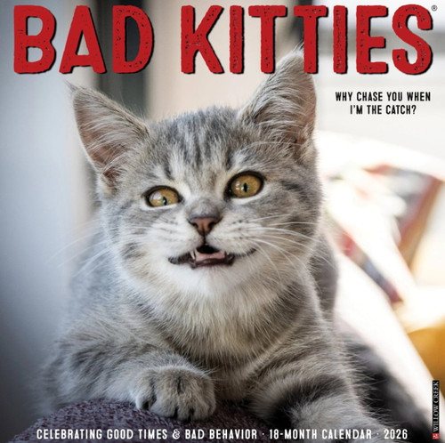 Willow Creek Press Bad Kittens 2026 Wall Calendar 12" X 12"
