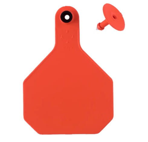 Y-Tex All‑American 4‑Star Blank Orange Ear Tags - 25 Pack