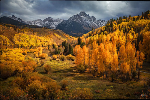 Rocky Mountain Publishing Golden Meadows 20X30 Canvas Gallery Wrap