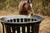 Tarter Equine Hay Basket