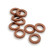 Orbit Rubber Hose Washers - 10 Pack