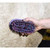 Professional's Choice Tail Tamers Small Brush Bristle Synthetic