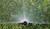 Rainbird National - 9 - 12 ft. Half Circle Dual Spray Nozzle