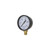 Valley Industries Pressure Gauge 200PSI Dry