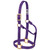 Weaver Leather -  Original Non-Adjustable Halter, Purple, 1 inch Small Horse or Weanling Draft