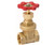 Orgill - Mueller ProLine Full Port Heavy Duty Gate Valve, 1 In, IPS, Forged Brass