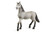 Schleich  Young Horse Pura Raza Espanola