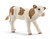 Schleich  Simmental Calf