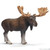 Schleich - Moose Bull - Brown 