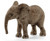 Schleich - African Elephant Calf
