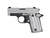 Sig Sauer TSS .380ACP 2TNE Slite CA