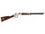 Henry Golden Boy Eagle Scout 22LR