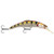 Matzou America Kinchou 7 Tiger Perch