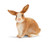 Schleich Rabbit
