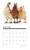 Willow Creek Just Us Chickens 2023 12X12 Wall Calendar