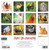 Willow Creek Just Us Chickens 2023 12X12 Wall Calendar