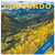 Willow Creek Colorado 2023 12X12 Wall Calendar