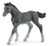 Schleich Trakehner Foal