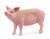 Schleich Pig