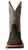 Twisted X Mens 12" Western Work Boot