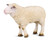 Breyer Sheep