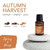 Autumn Harvest Scents