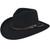 Bailey Hats Men's Black Firehole Felt Hat