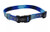 Coastal LazerBrite Patterned Collar Blue Multi Bone