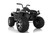Wonderlanes Black Adventure - 12V Battery Powered Ride-On ATV