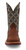 Twisted X Men's 12" Composite Safety Toe Western Work Boot Mocha/Slate