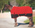 Big R Red 1200D Turnout Blanket With 300G Fill
