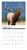Willow Creek Press Bull Elk 2024 12" x 12" Wall Calendar