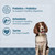 Loyall Life Advanced Solutions Sensitive Skin & Coat Salmon & Oatmeal Recipe Adult Dog Food - 30 lbs.