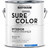 Rust-Oleum Eggshell Interior Wall Paint 1 Gallon