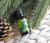 Candle Warmers Fresh Balsam Fir Premium Fragrance Oil