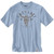Carhartt Mens Montana Relaxed Fit Heavyweight Longhorn Graphic Short Sleeve T-Shirt