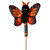 The Petting Zoo Lollyplush Butterfly with Rainbow Lollipop - Assorted 1 Piece