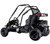 Coleman Powersports Red and Black GK200 Go Kart