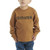 Carhartt Boys Long Sleeve Graphic Shirt