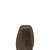 Ariat Men's Dark Brown & Green Activator Waterproof Steel Toe Work Boots