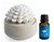 Candle Warmers Succulent Porcelain Passive Diffuser