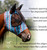 Professional's Choice Comfort-Fit Fly Mask | Smooth, Stretchy Material