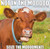 Willow Creek Press Not in the Moooood 2026 Calendar 12" X 12"