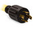 Champion 25FT 30A 125/250V Generator Extension Cord with Circuit Breakers