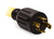Champion 25FT 30A 125/250V Generator Extension Cord