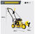 Champion 79cc Walk Behind Lawn Edger