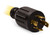 Champion 25FT 30A 250V Generator Power Cord